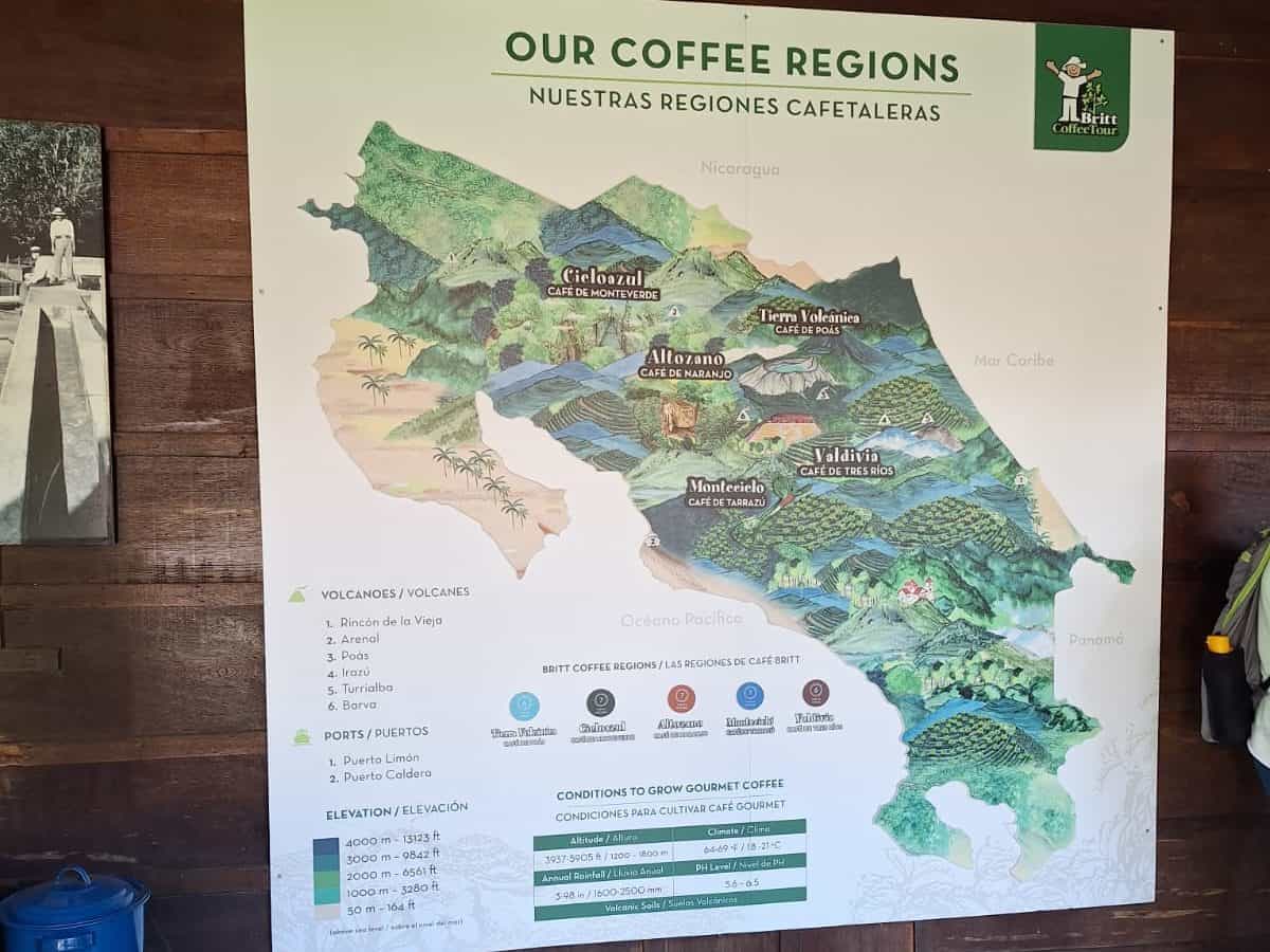 Costa Rica Coffee Regions. Photo courtesy of the wonderful Emunah Neaves!